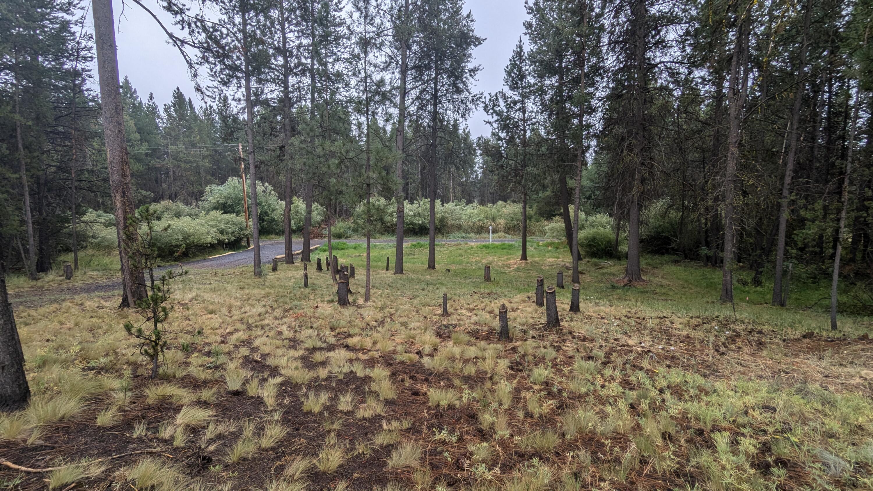 Deschutes River Recreation Homesites - Land