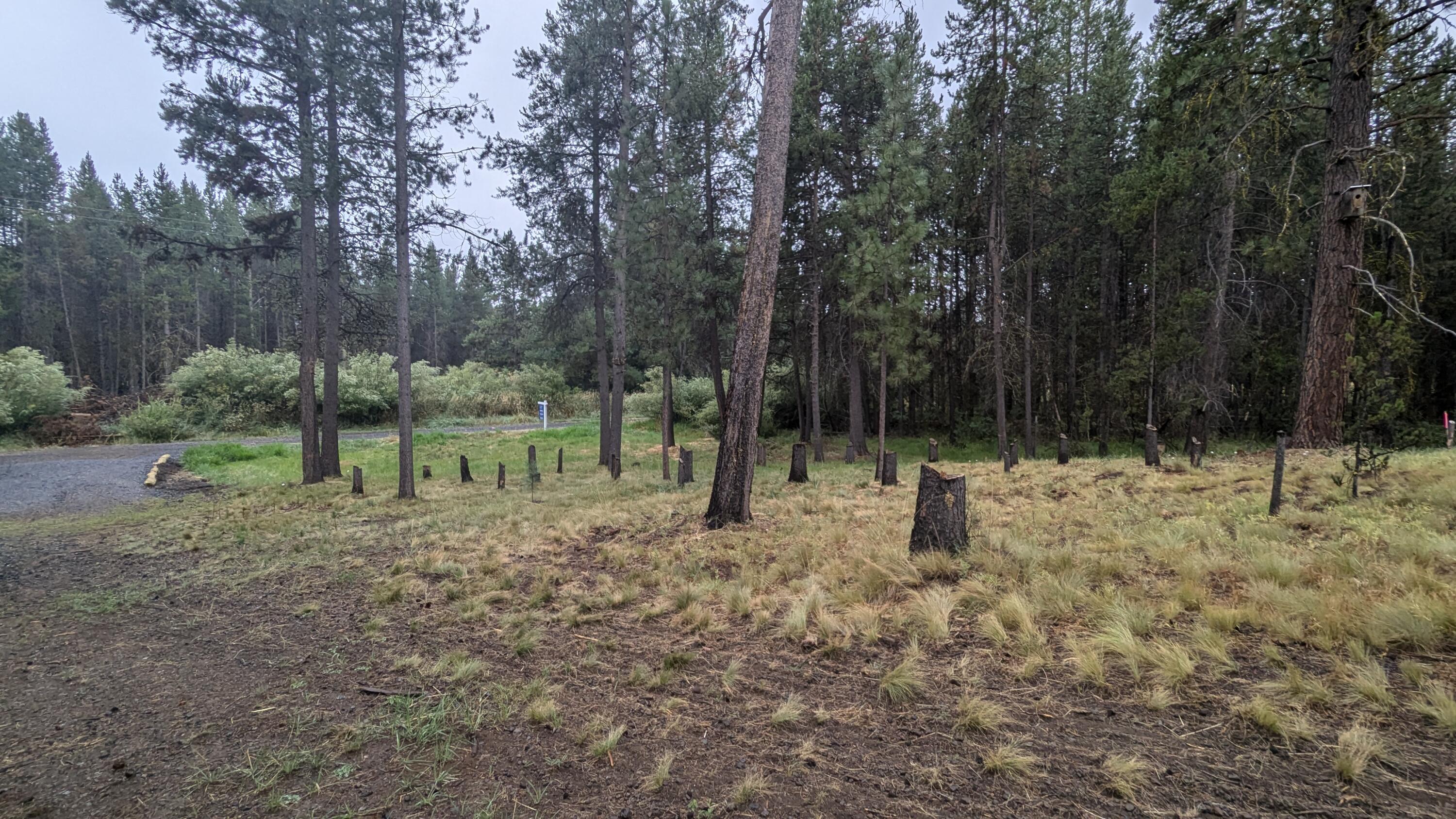 Deschutes River Recreation Homesites - Land