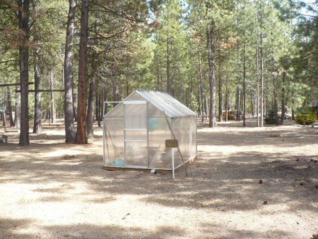 Ponderosa Pines - Residential