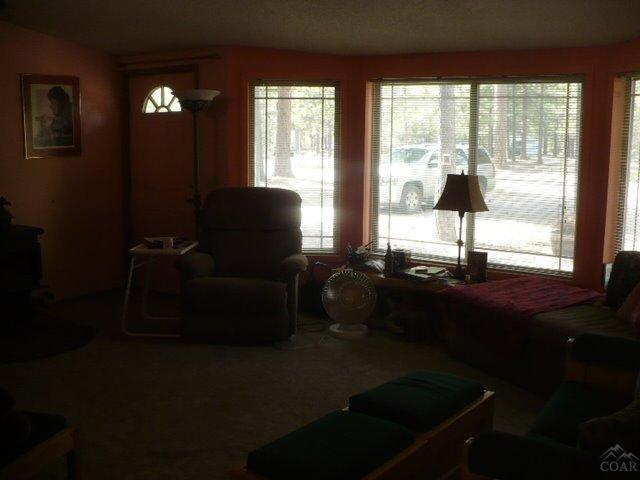 Ponderosa Pines - Residential