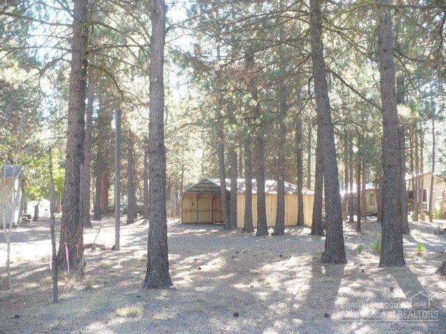 Ponderosa Pines - Residential
