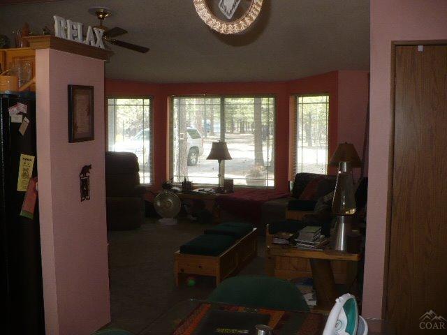 Ponderosa Pines - Residential