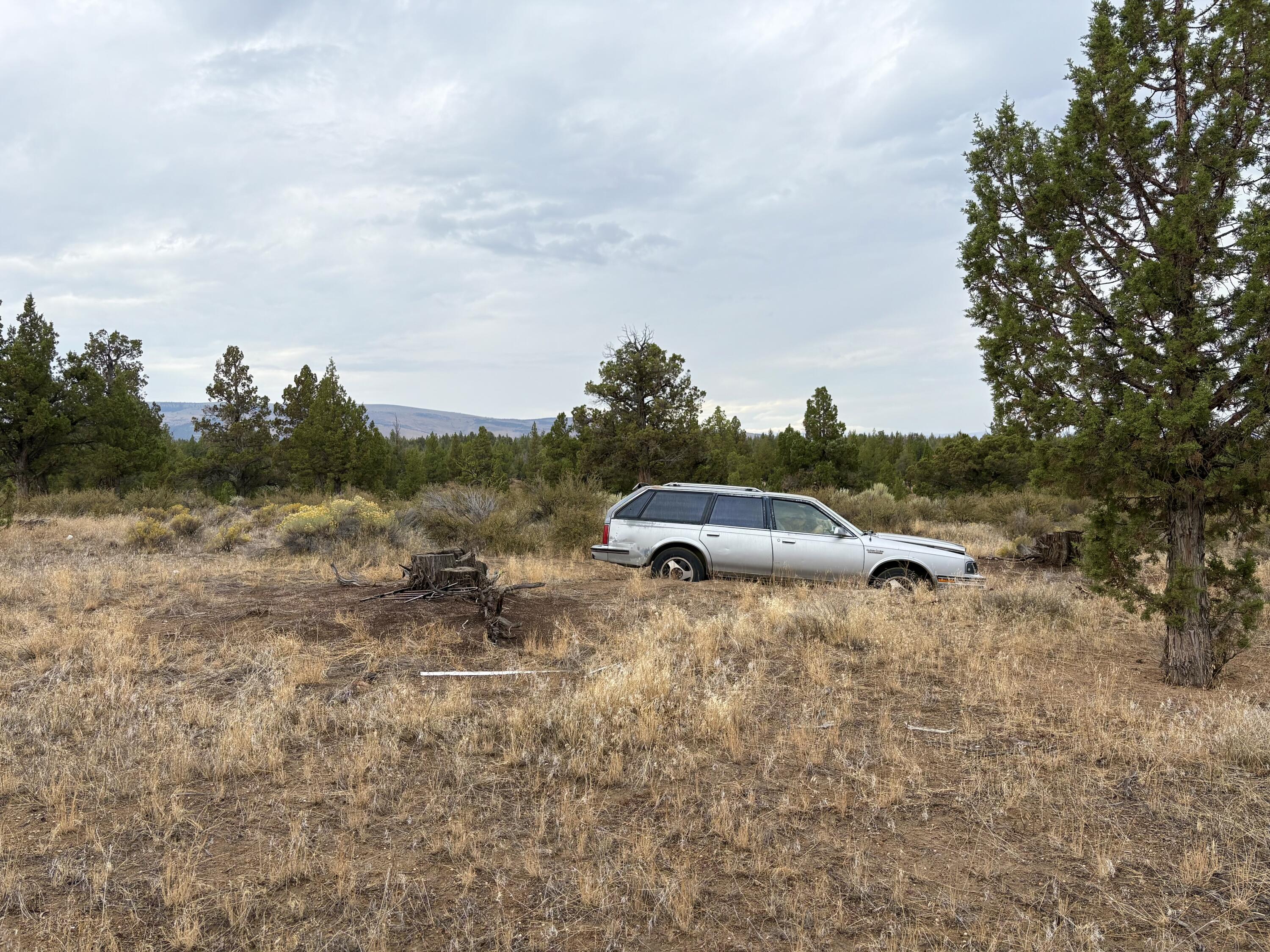 Juniper Acres - Land