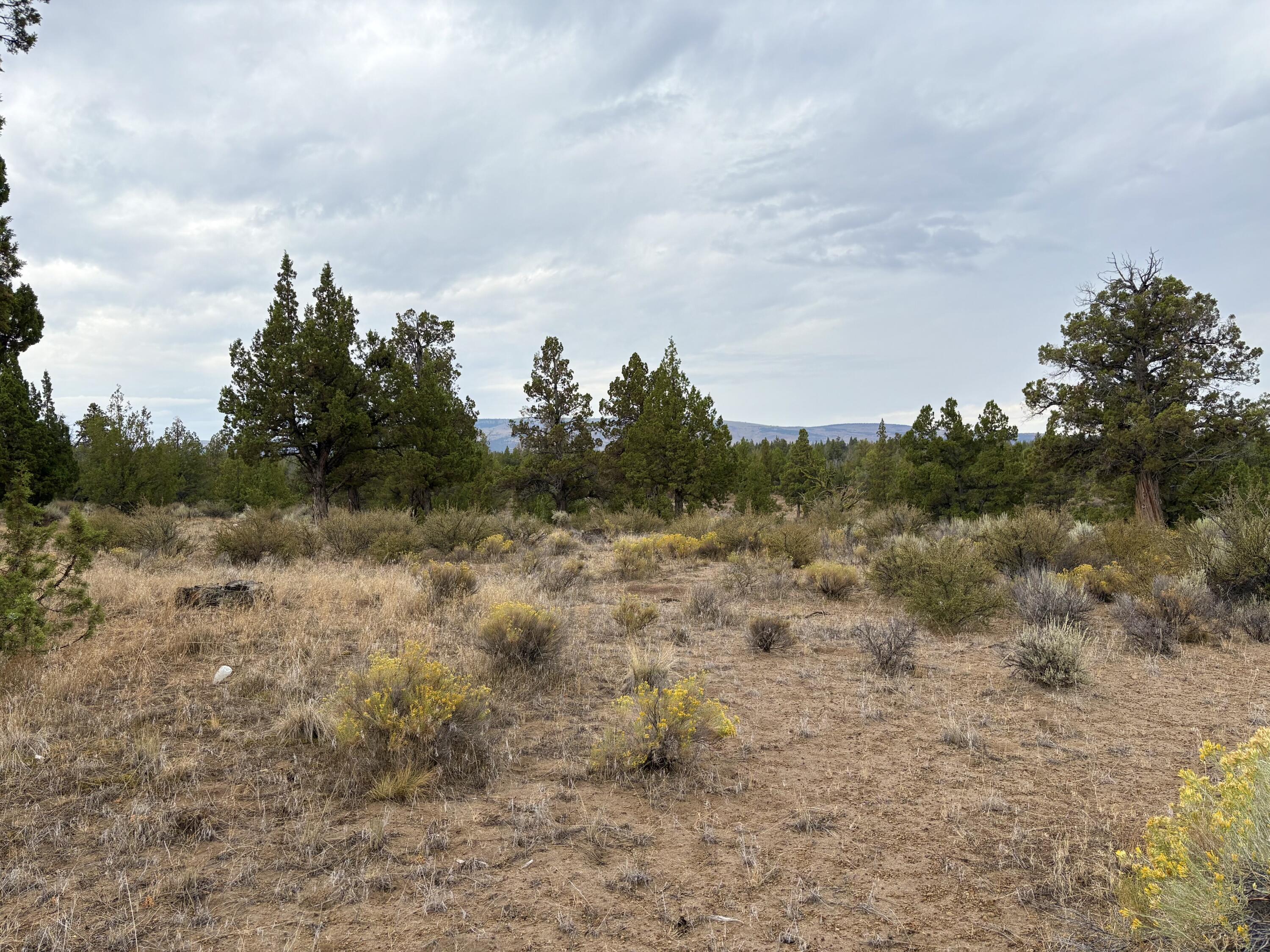 Juniper Acres - Land