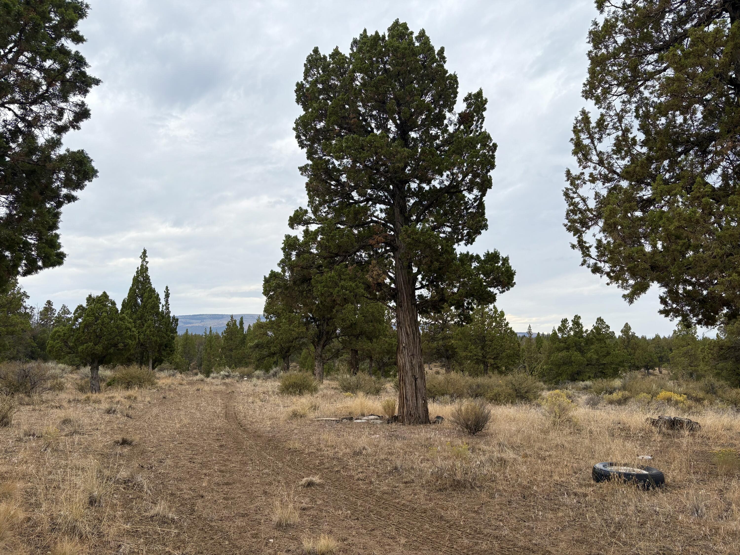 Find yourself tucked away quietly on your 10 acres lot in Juniper Acres, such a peaceful area with beautiful views. Lots of space to take advantage of, make this space your own.