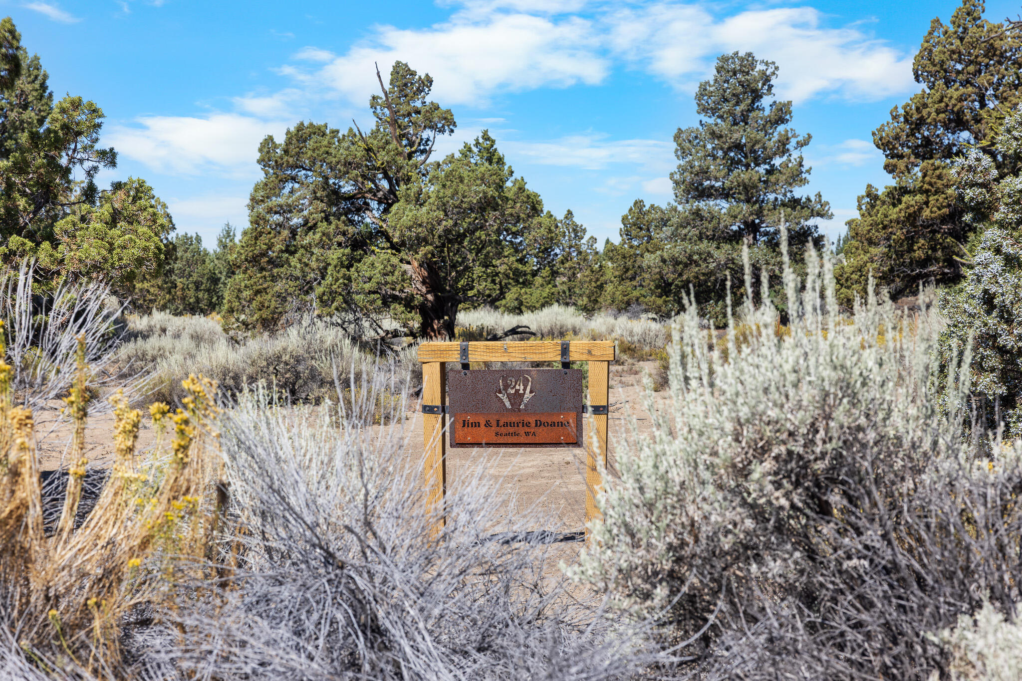 Pronghorn - Land