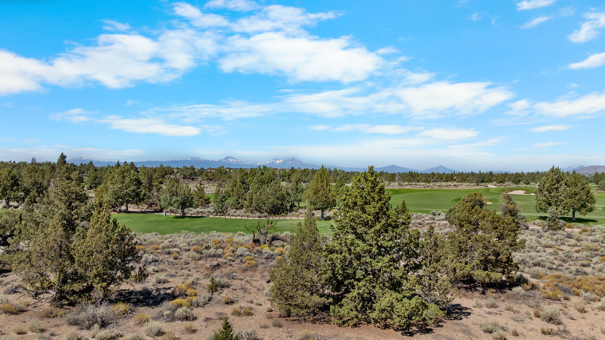 Pronghorn - Land