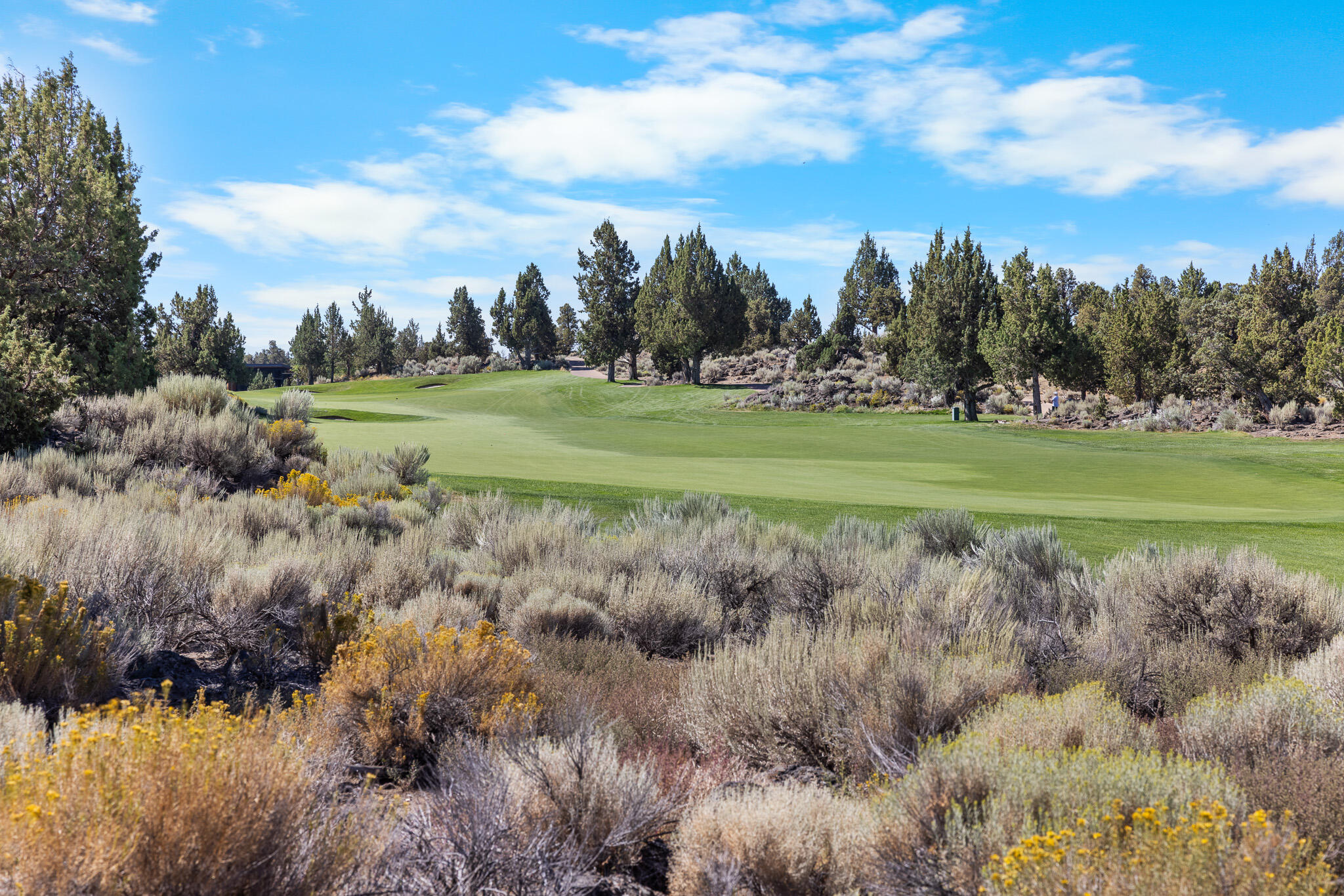 Pronghorn - Land