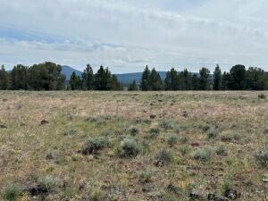 Nimrod River Park - Land