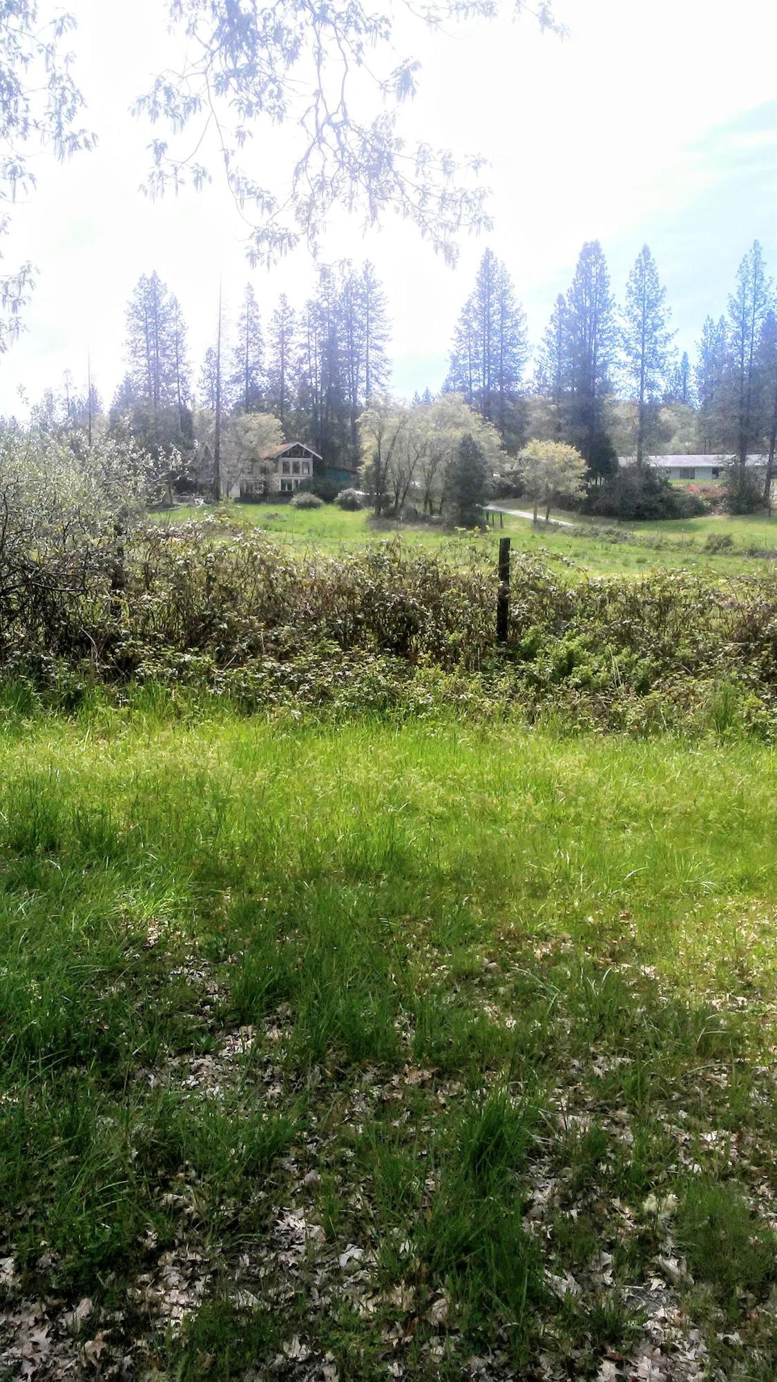 Vineyard/resort potential! This 515 acre parcel is at the end of a county paved road, ready for your imagination. Many ponds, some large ones too. Lots of old buildings and stuff, including an old mansion with restoration potential. Terrain is mostly rolling with some great view sites. BLM frontage on part of the South side. Can you imagine a horse facility with arenas, trails through the woods and around the ponds, even stables, and RV facilities? See if Planning will allow this or your own dream. Riced below assessor's value! Adjacent 186 acre parcel zoned CR5 also available