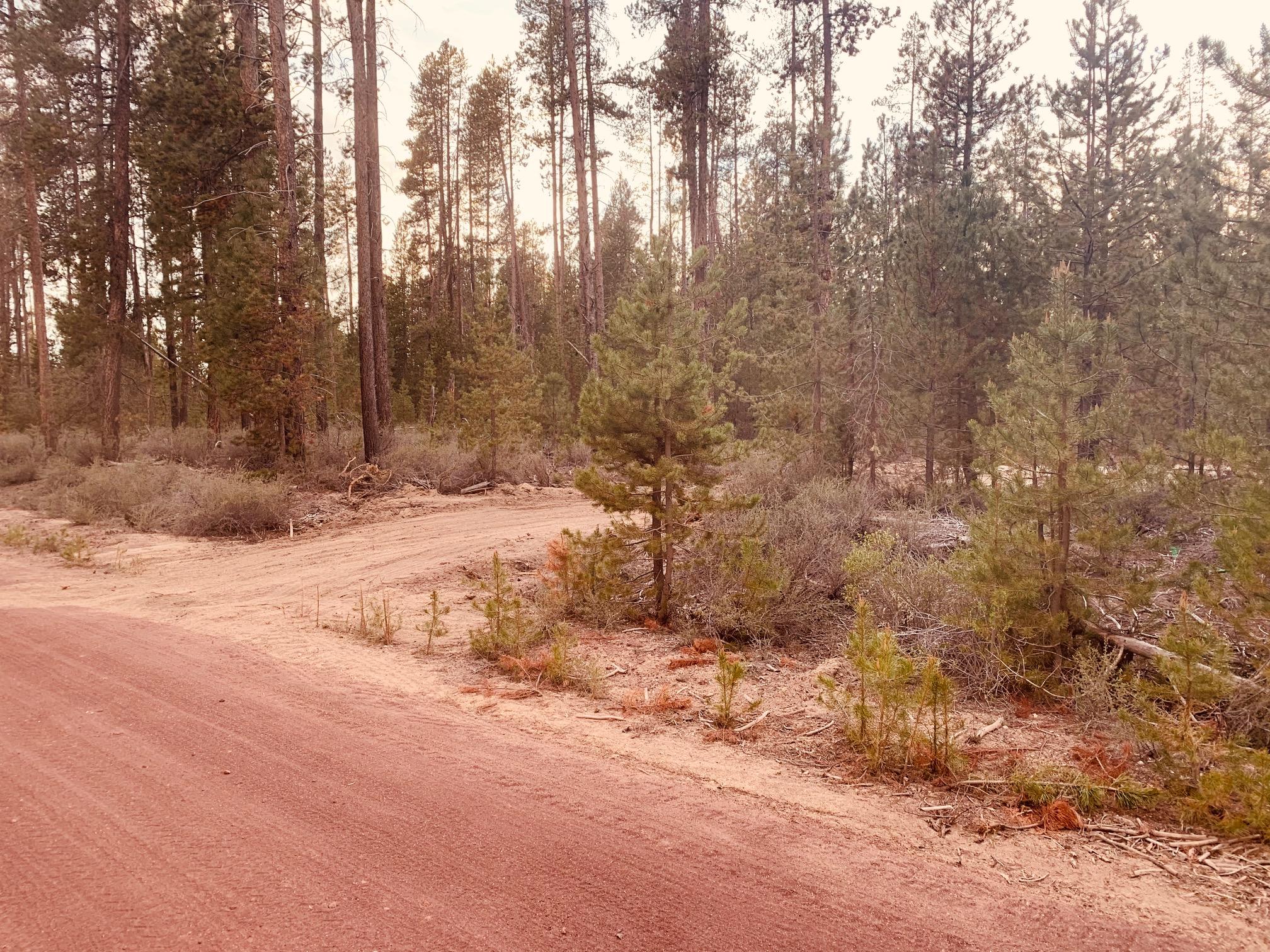 Almost a 1/2 acre buildable lot-Peaceful and treed lot. Close to lakes and rivers - Little Deschutes  is close by property.