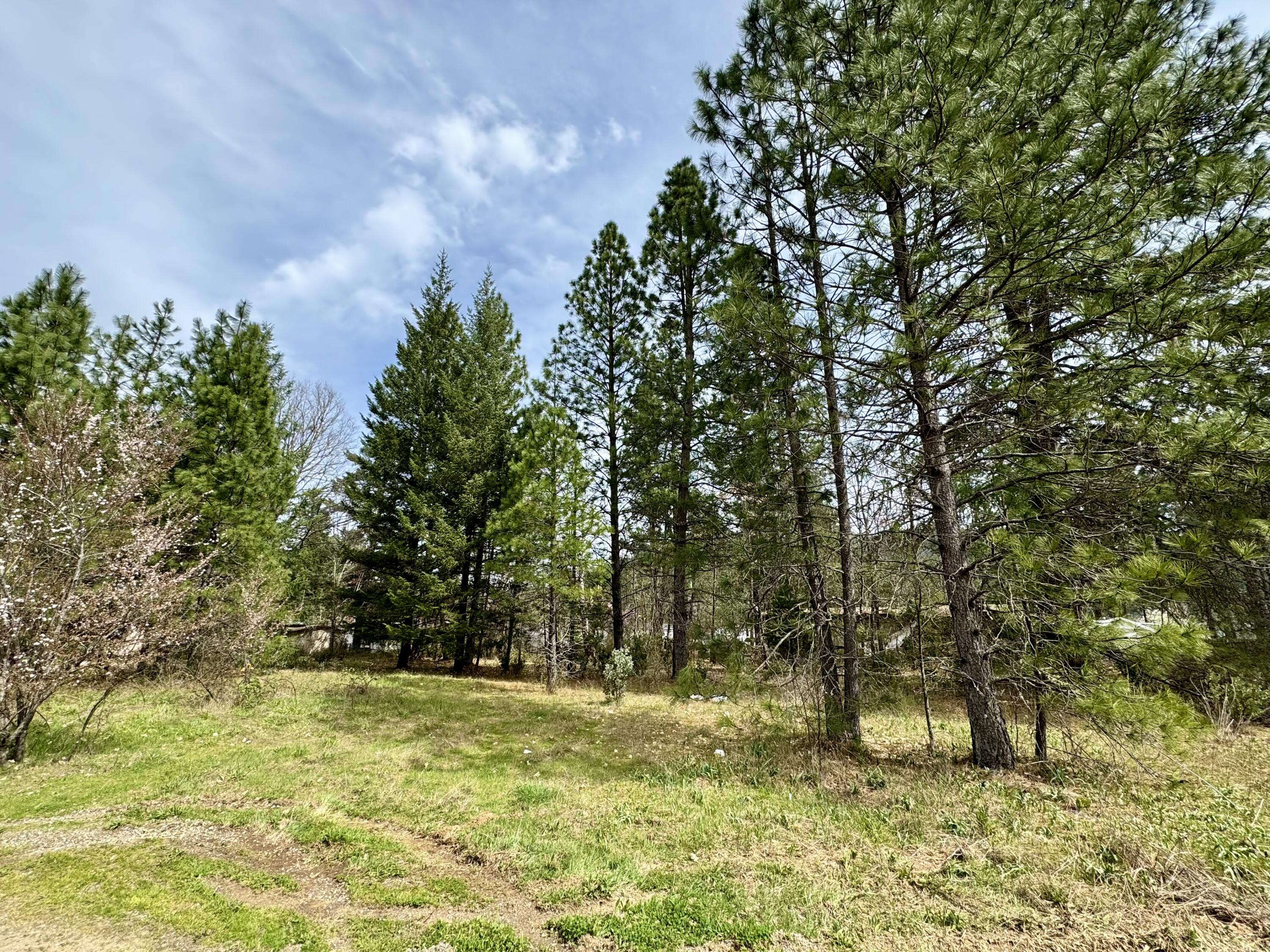 Super affordable building lot, or place your new mfg home per CJ City guidelines*,  with city water and sewer available.  (*CJ City Municipal Code 17.20.080, Sec C.)
Level terrain and convenient location in this cozy SW Oregon community.  All information is deemed reliable but not verified; anyone considering purchasing this property should perform their own investigation into the uses, types of structures, property boundaries, and condition of the property.