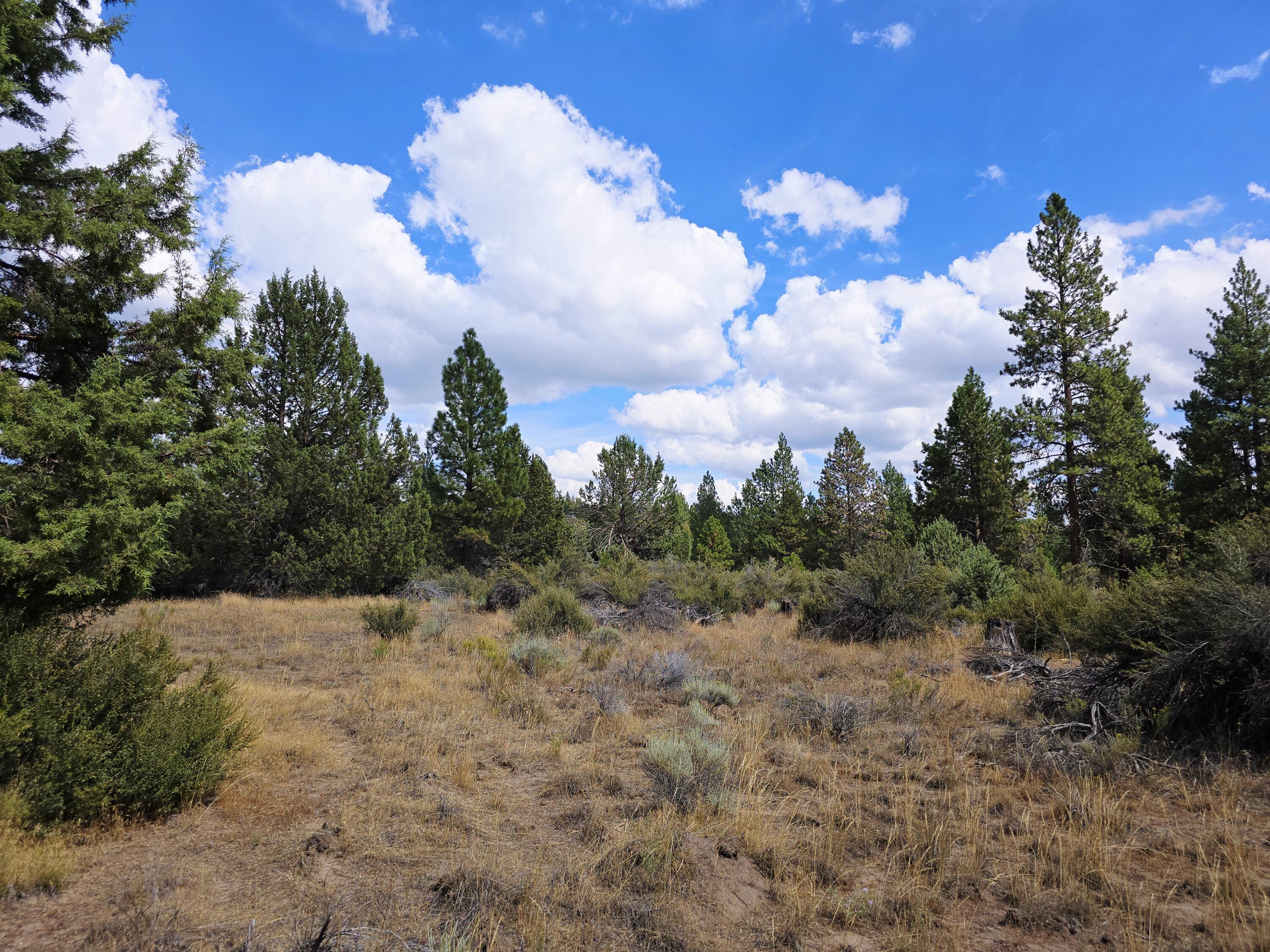 Klamath Falls Forest Estates -Hwy 66 Unit -Plat No. 2 - Land
