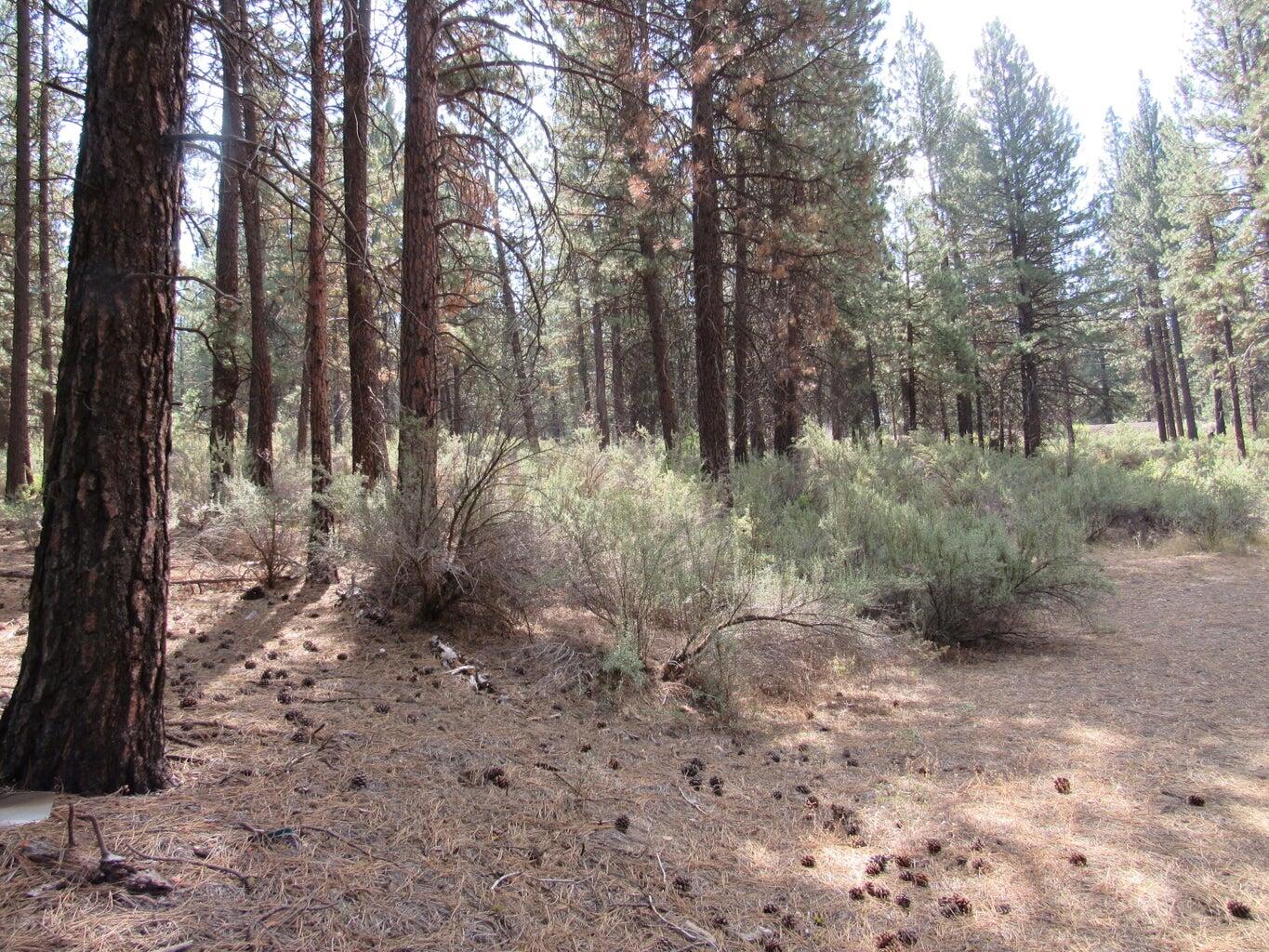 Chiloquin Acres - Land