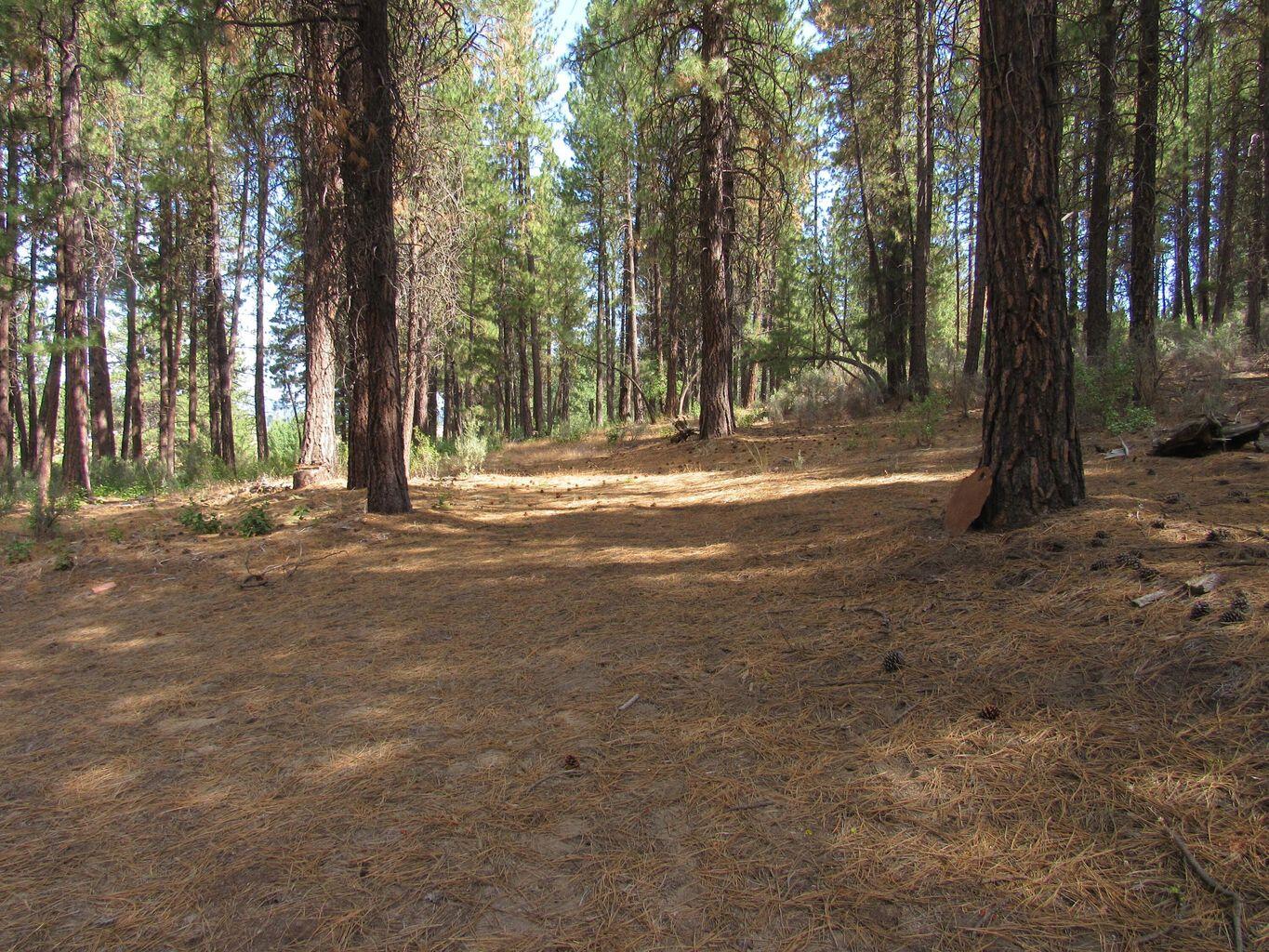 Chiloquin Acres - Land