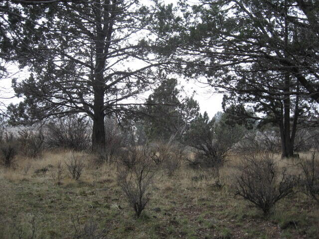 Great residential lot with electricity at the road.  Level & sloped with a scattering of trees. Beautiful view of the Sprague River Valley and distant mountains! Priced to sell