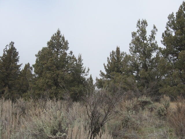 Nimrod River Park - Land