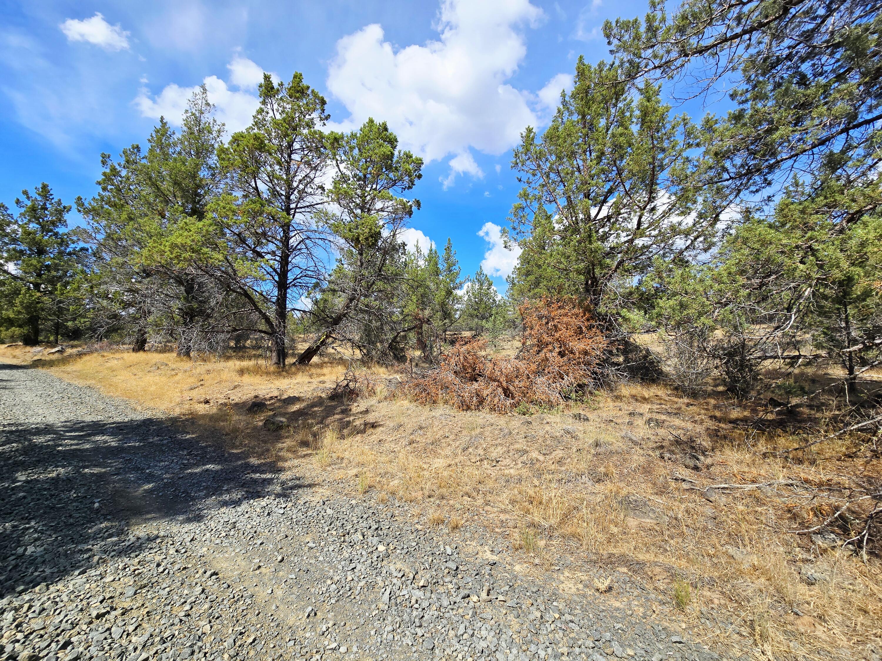 A beautiful lot to build a dream home on under Oregon's wide skies, this 2.35-acre parcel in Bonanza offers a gentle slope with native trees, gravel road access, and views stretching across the valley to the frosted mountains. Nights bring a blanket of bright stars and the quiet sounds of nature, with deer, elk and birds often nearby. Bonanza has deep ranching and farming roots, with community amenities close at hand and Klamath Falls about 25 miles away for larger services. Nearby Fremont-Winema Forest provides opportunities for hiking, fishing, and exploring year round. Here, evenings settle into quiet stillness, broken by the call of the owls or the rustle of the wind through the trees. Each season shapes the land in its own way-snow-dusted winters, vibrant green springs, and golden autumn fields. Known for good wells in the area and the power is just a few lots away! Approximate GPS Coordinates: 42.28223,-121.41934