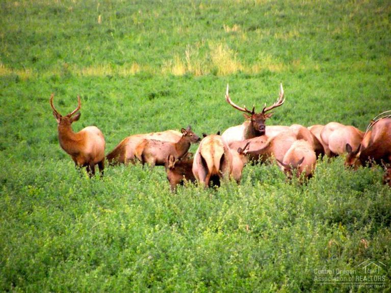 N/A - Land
