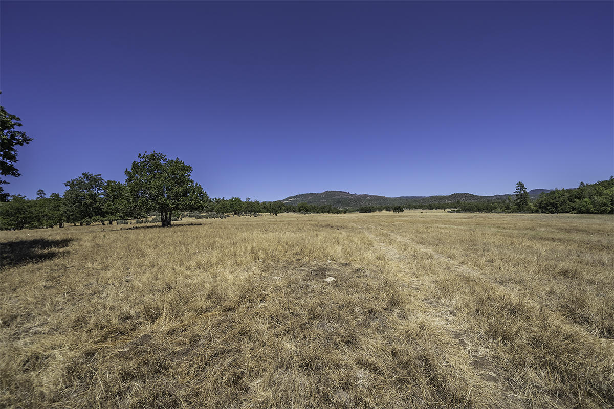 N/A - Farm