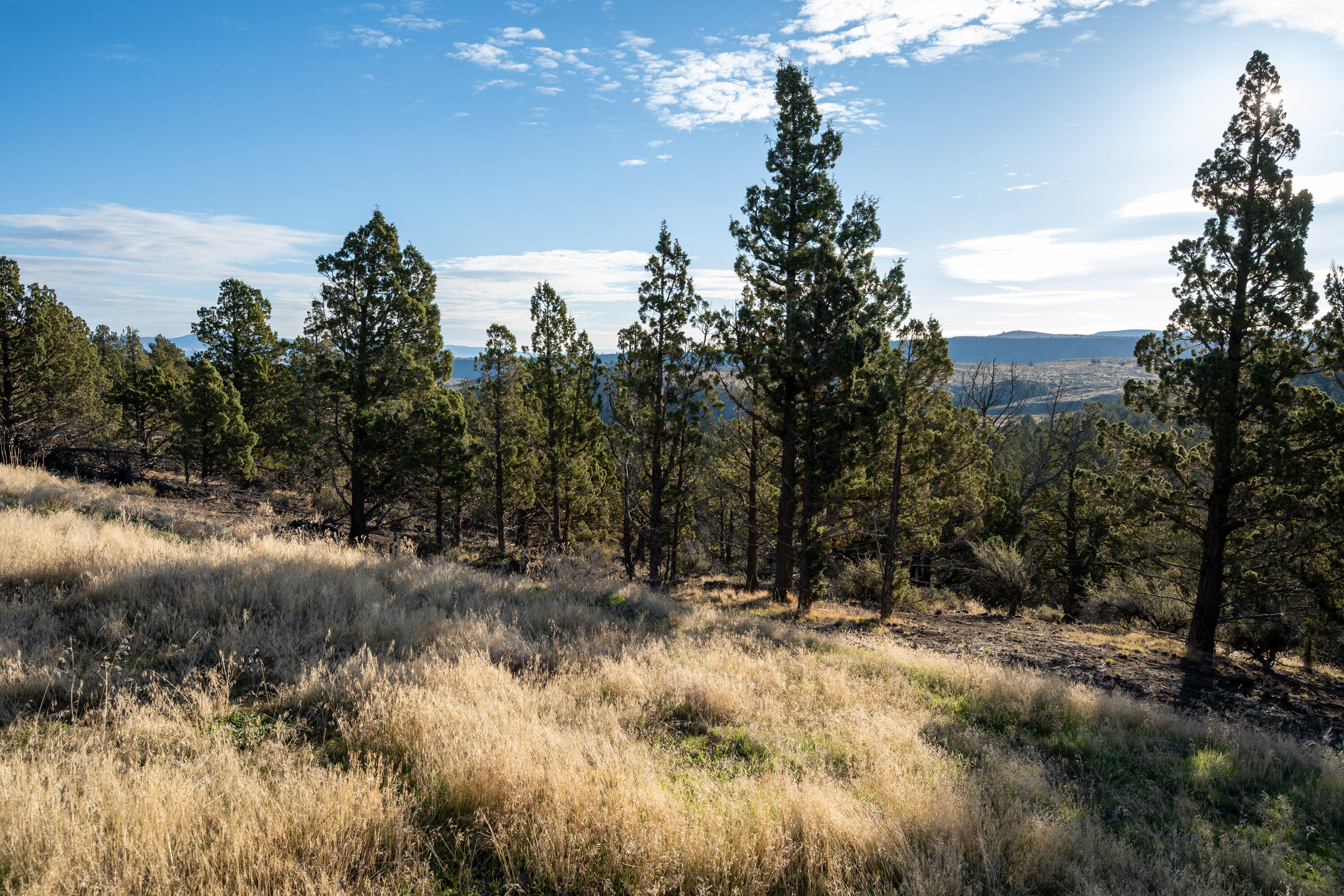 Riverside Ranch - Land