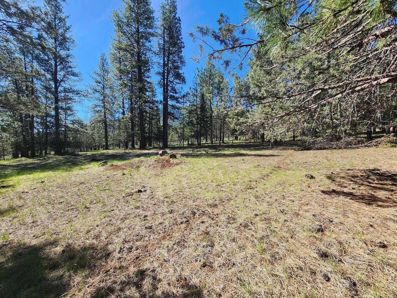 Cedar Trails - Land