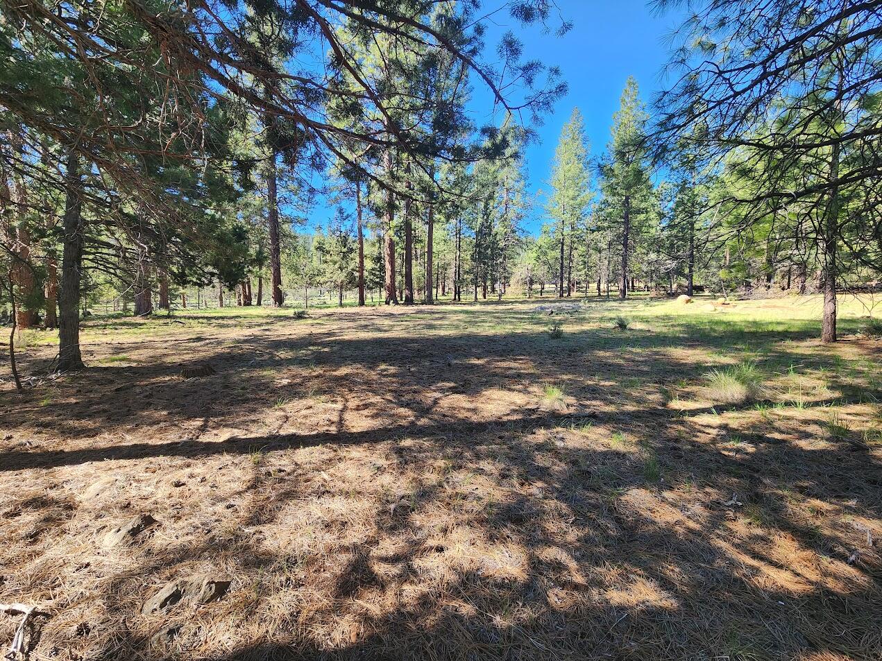 Cedar Trails - Land