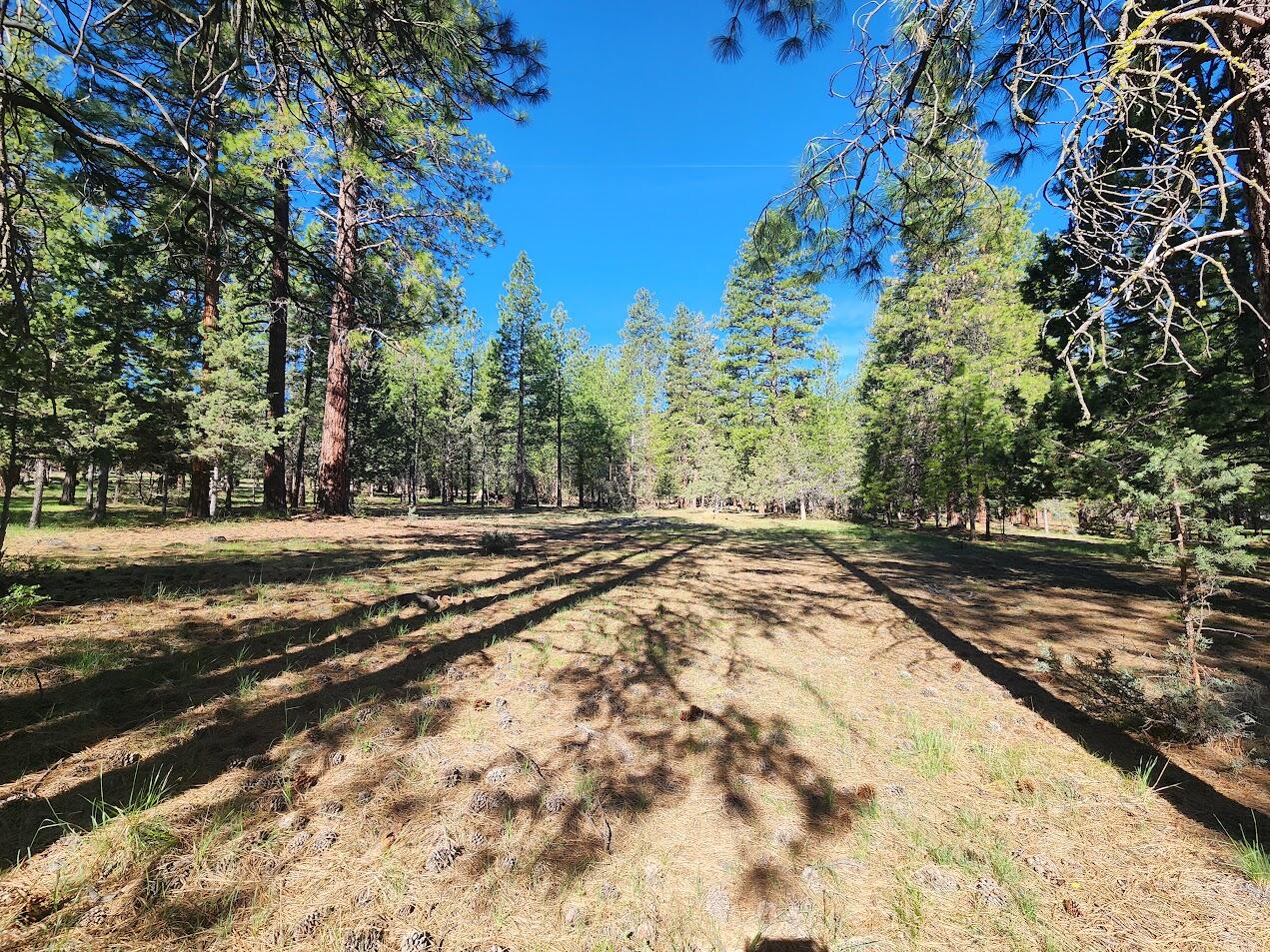Cedar Trails - Land