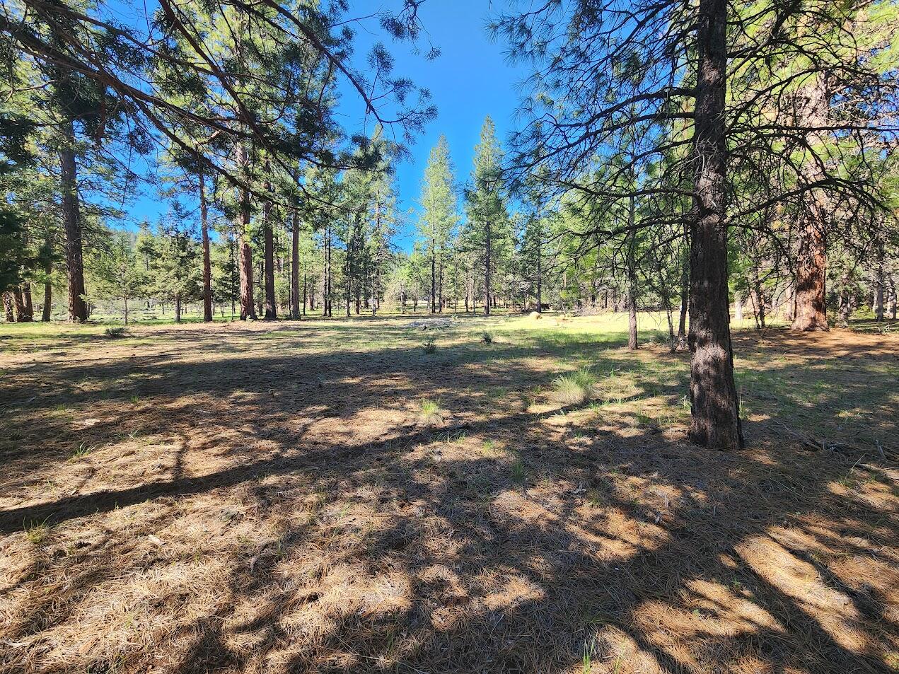 Cedar Trails - Land