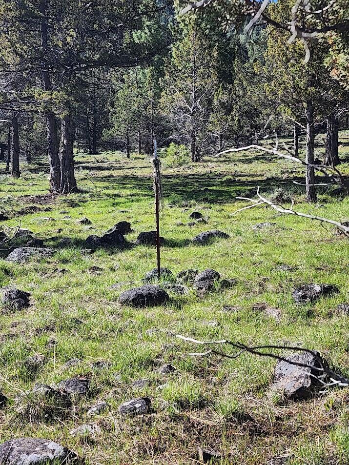 Cedar Trails - Land