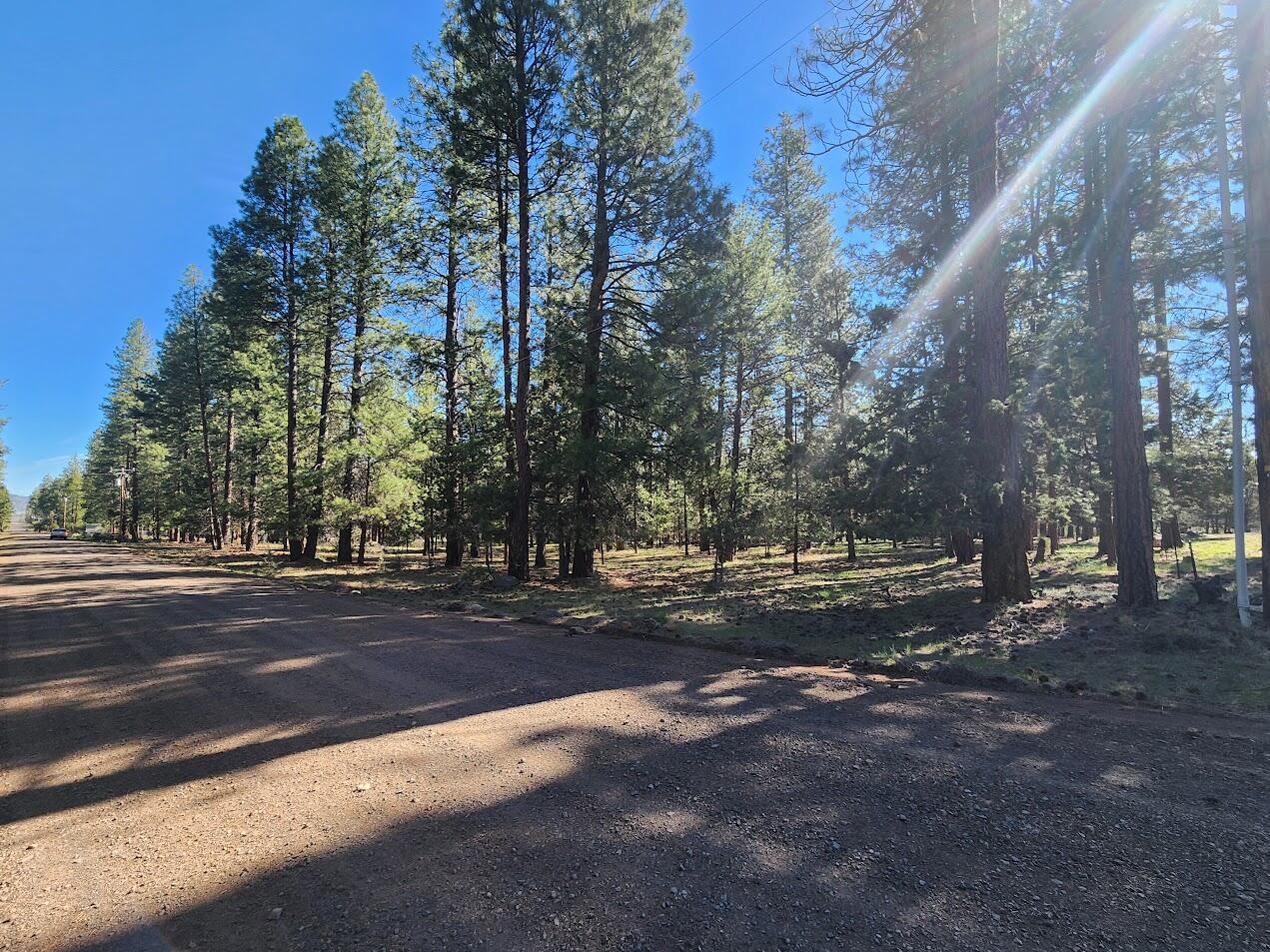 Cedar Trails - Land