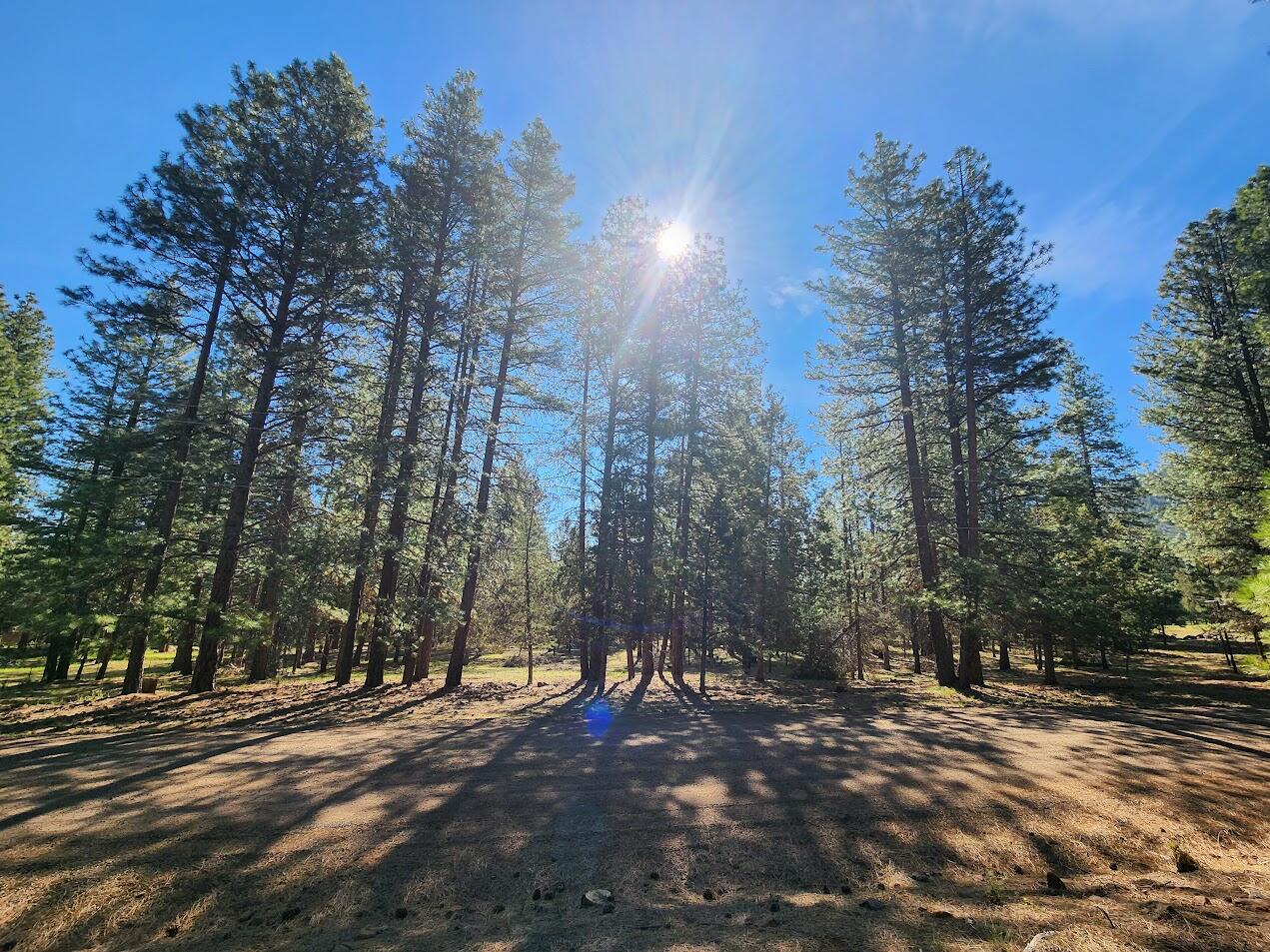 New Price: Dream home wanted! This 5.1 acre piece of land in the private Cedar Trails area is ready for whatever you can dream up! Located in a quiet neighborhood of mostly stick-built homes with BLM land bordering Cedar Trails, gives this mostly level lot the best of both worlds. Ease of building includes prior septic approval, power at property line, and ease of excavation due to soil type plus lack of rocks.  The town of Keno is located less than 30 minutes from Klamath Falls and is home to all you need with an elementary school, gas station, convenience store, post office, restaurant/bar & tractor dealership among some other handy amenities. Home to a beautiful winding river and surrounded by forestry making life in Keno the perfect place to build your forever home! Note: Last picture is of back property line marker.