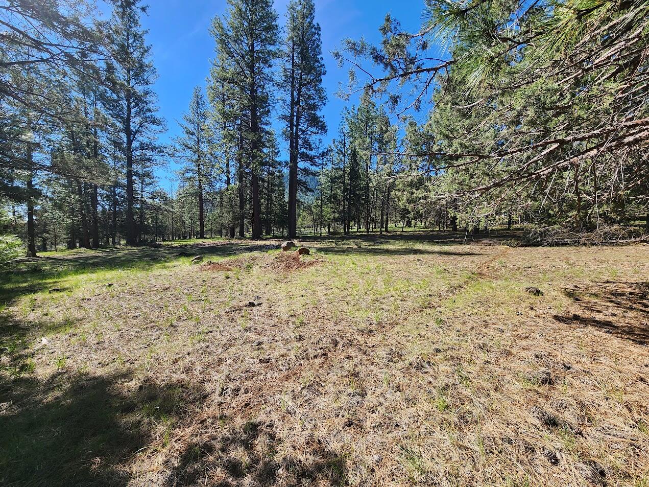 Cedar Trails - Land