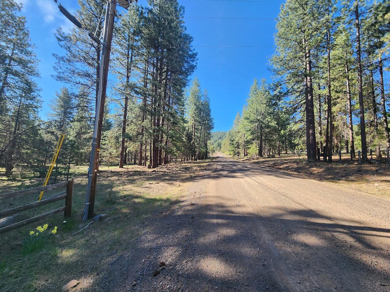 Cedar Trails - Land