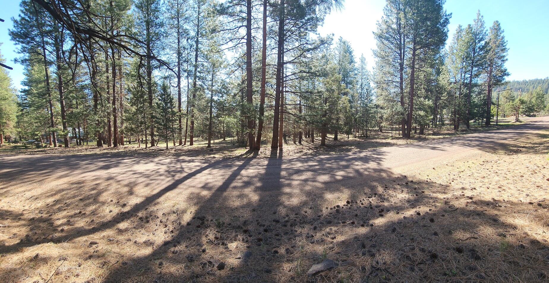 Cedar Trails - Land