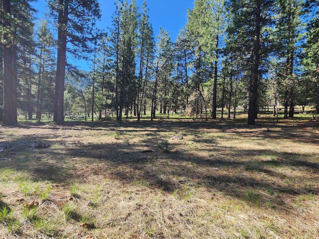 Cedar Trails - Land