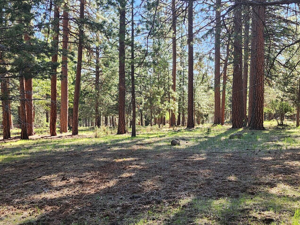 Cedar Trails - Land