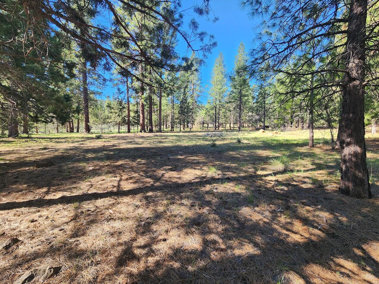 Cedar Trails - Land