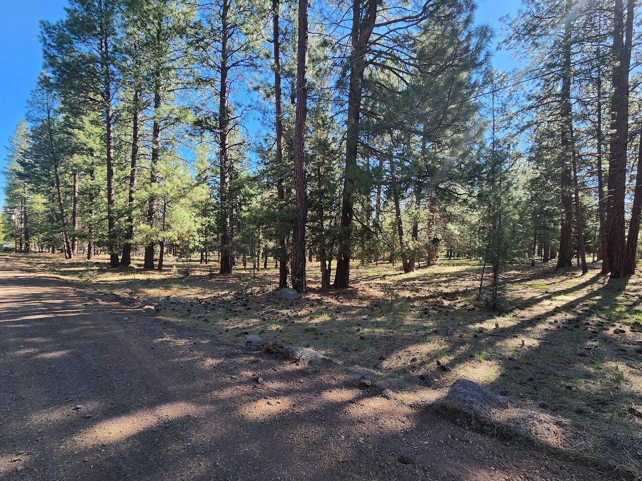 Cedar Trails - Land