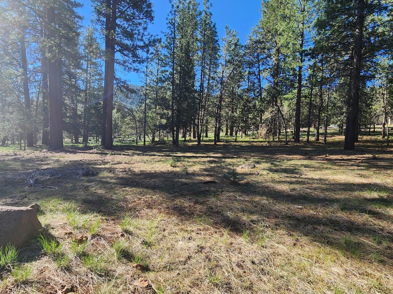 Cedar Trails - Land