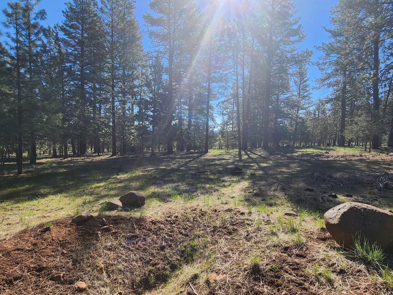 Cedar Trails - Land