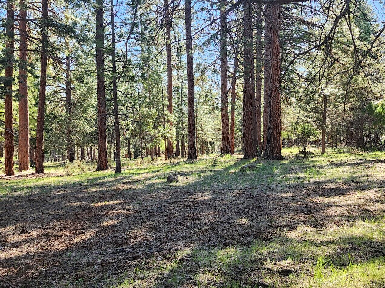 Cedar Trails - Land