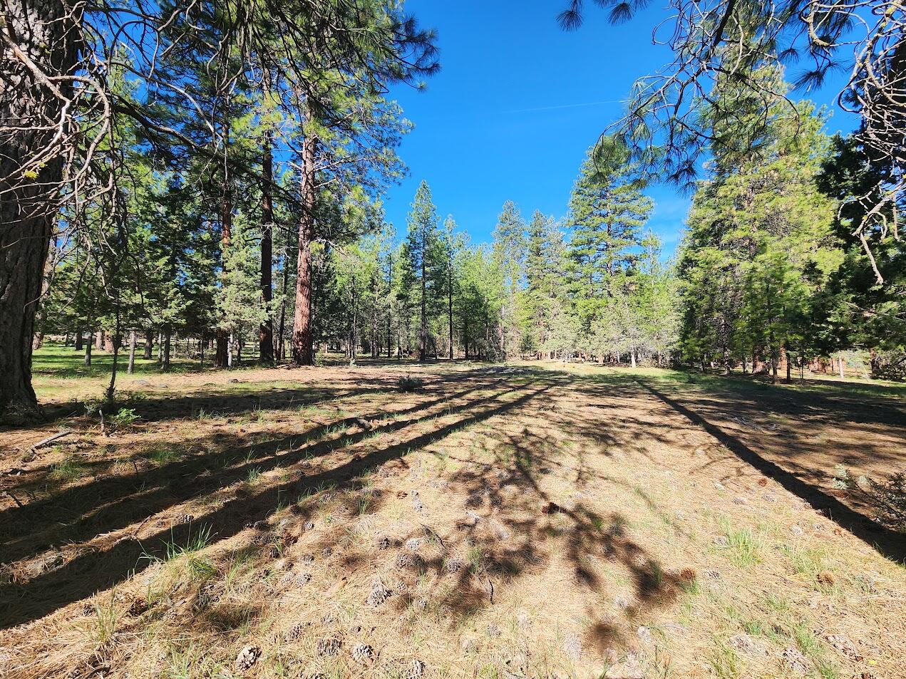 Cedar Trails - Land
