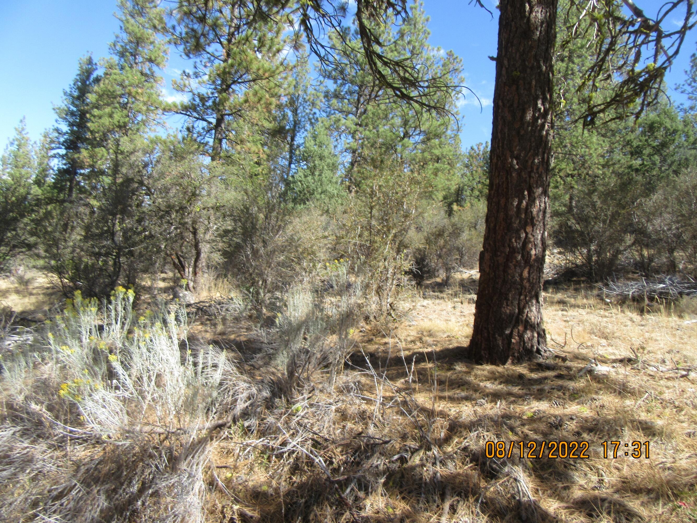 Klamath Falls Forest Estates Hwy 66 Unit Plat 4 - Land