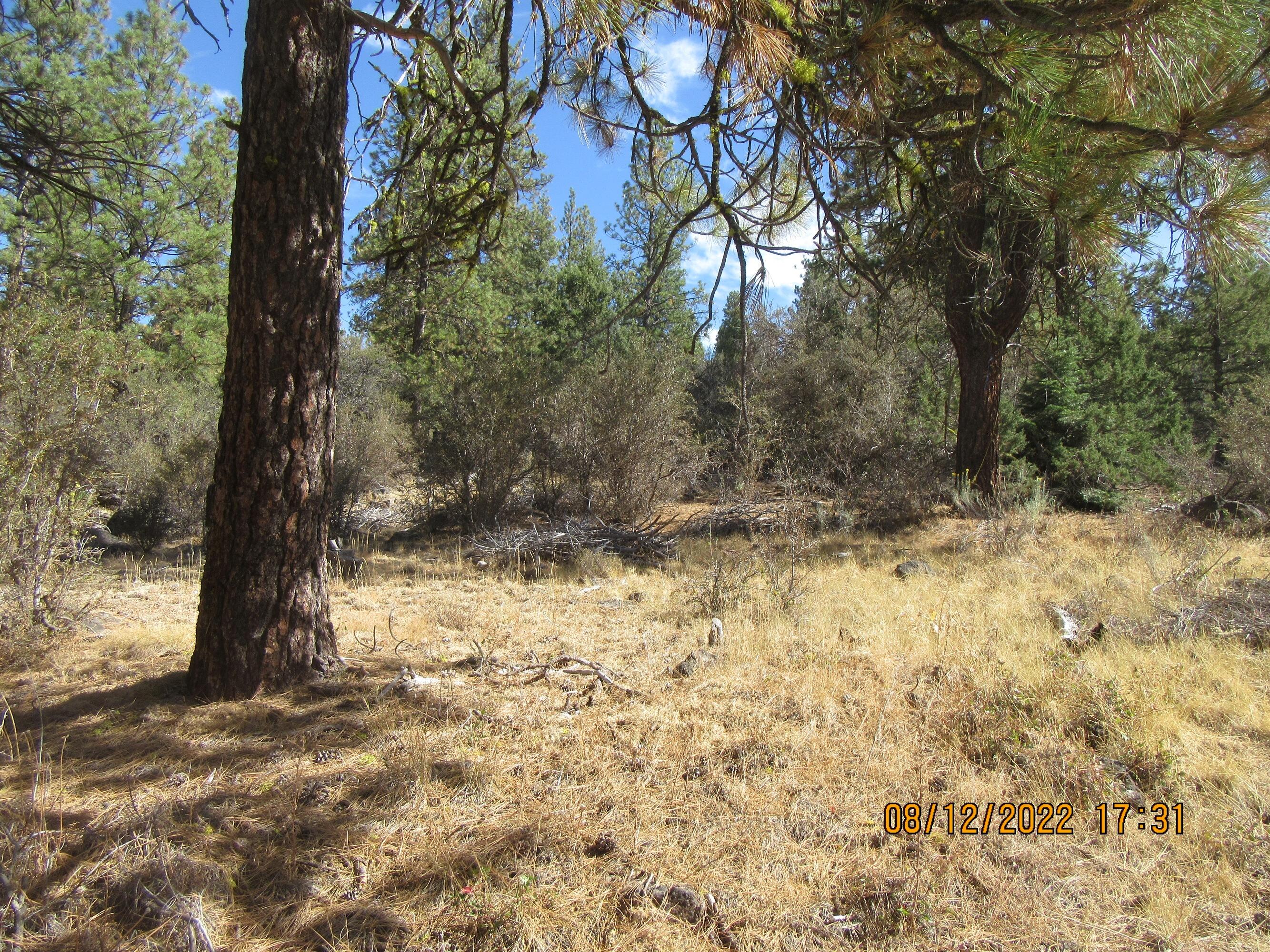 Klamath Falls Forest Estates Hwy 66 Unit Plat 4 - Land