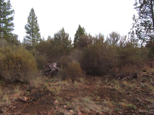 Klamath Falls Forest Estates -Hwy 66 Unit -Plat No. 1 - Land
