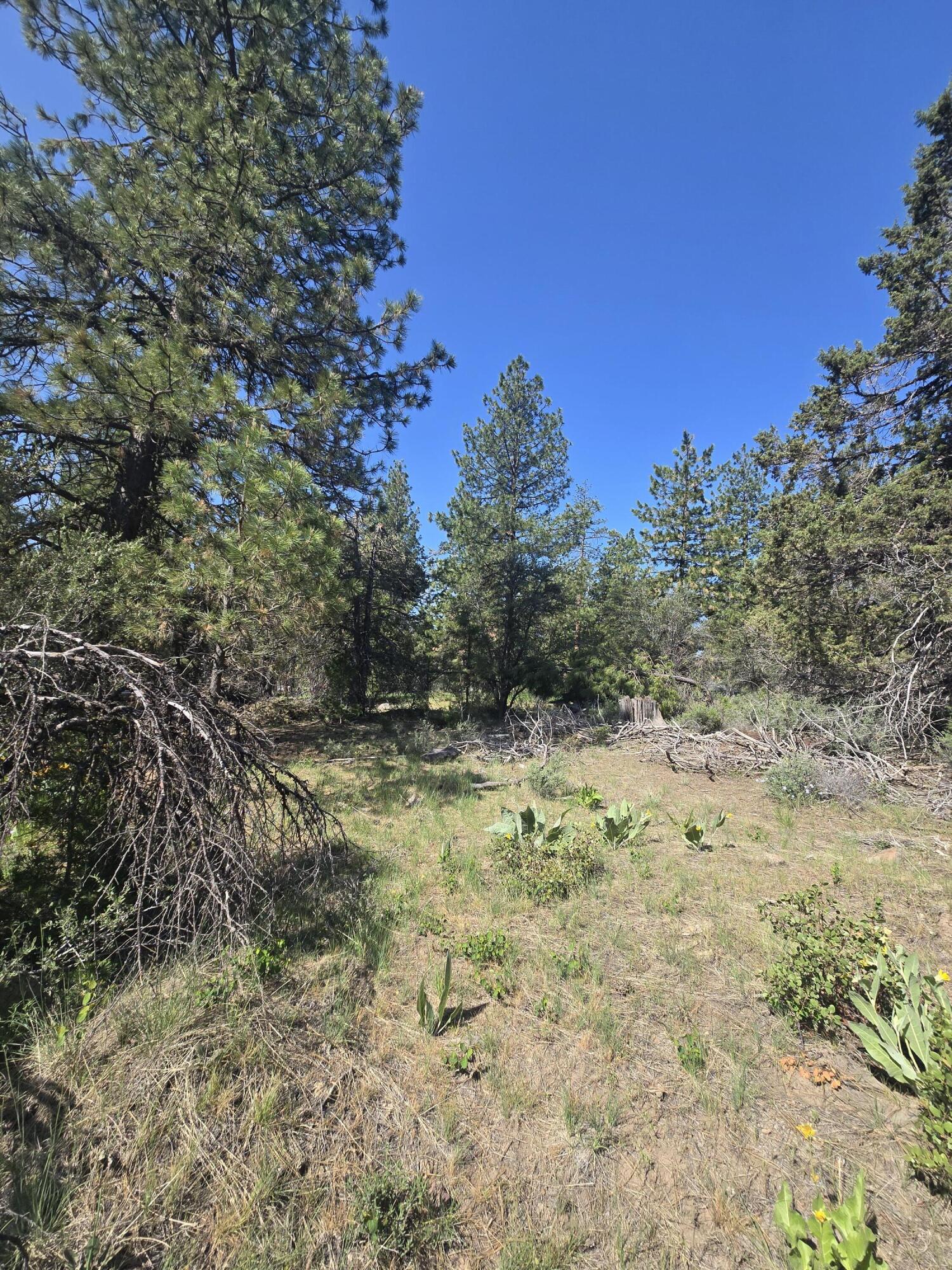 Klamath Falls Forest Estates -Hwy 66 Unit -Plat No. 1 - Land
