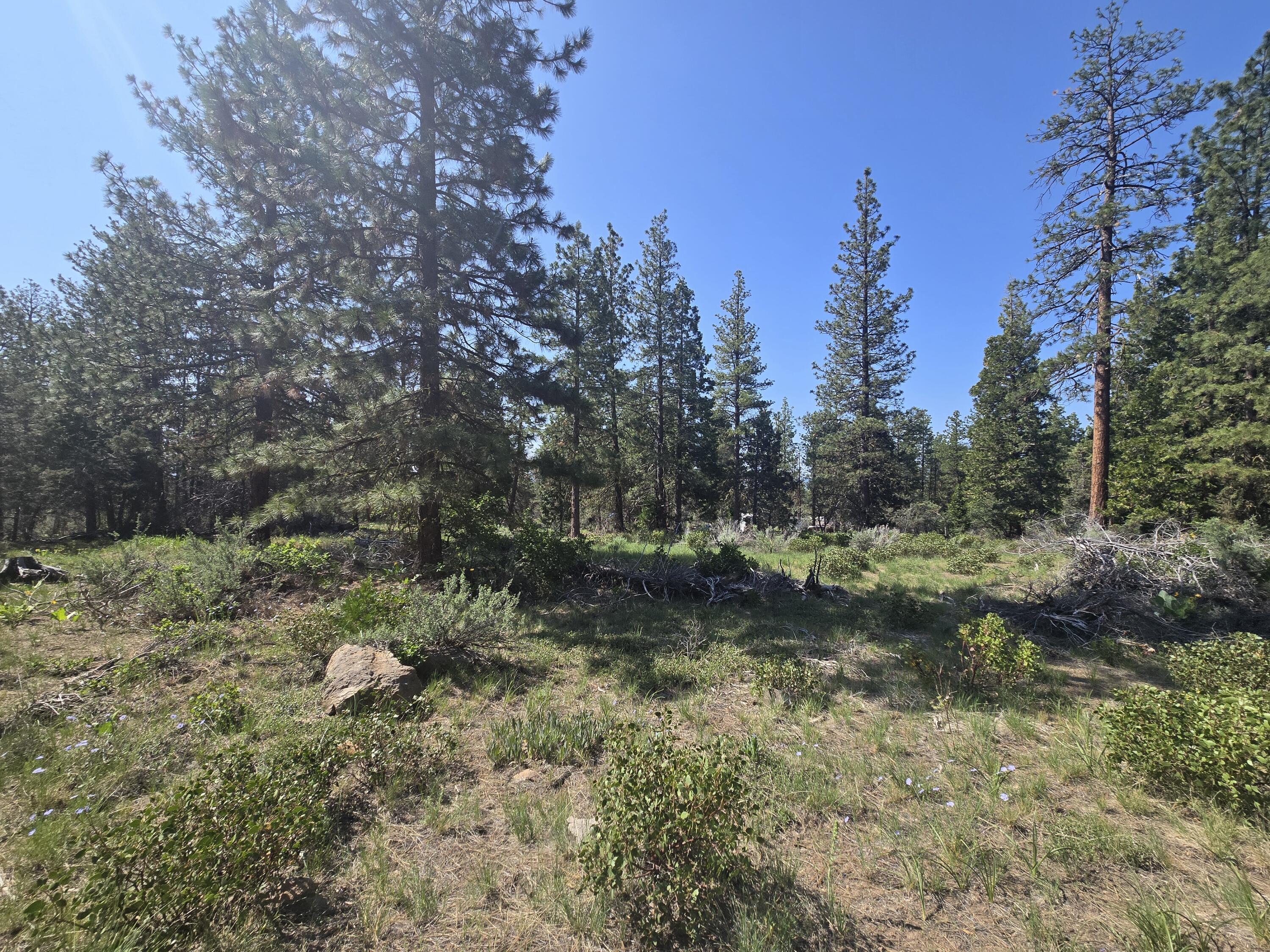 Klamath Falls Forest Estates -Hwy 66 Unit -Plat No. 1 - Land