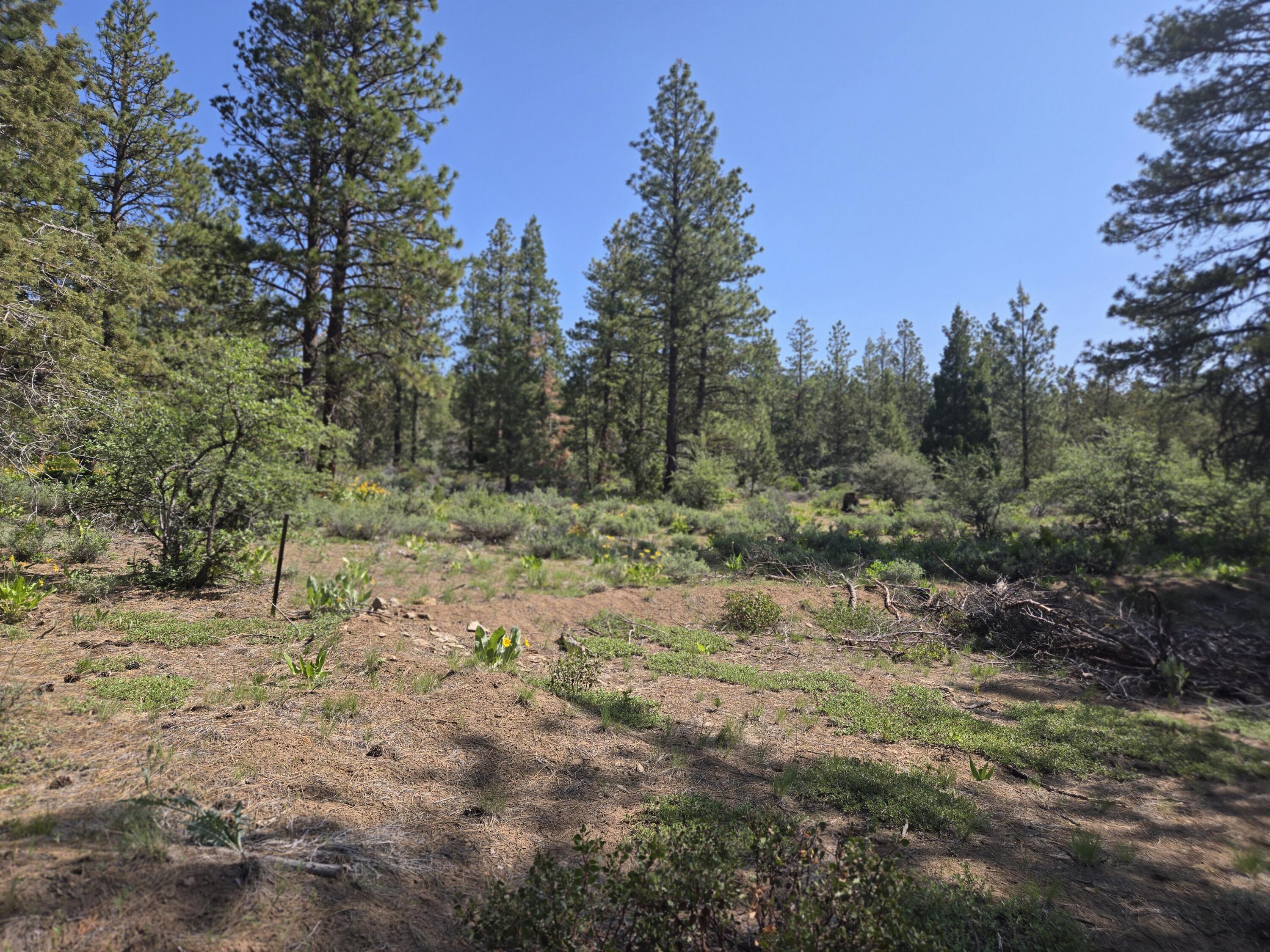 Rare find.  A little over 2 ½ acres in Bonanza with a septic.  Lots of trees with power nearby.  Ready for you to build your dream home.  Go tour this lot today!