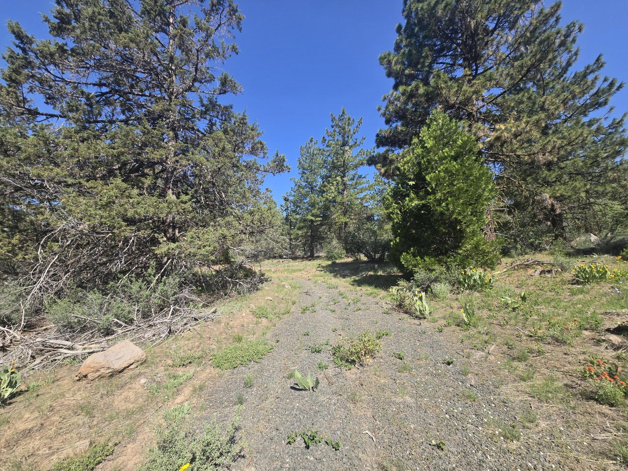 Klamath Falls Forest Estates -Hwy 66 Unit -Plat No. 1 - Land